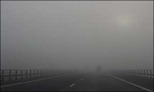 thick fog in punjab