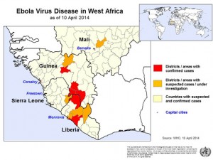 ebola virus